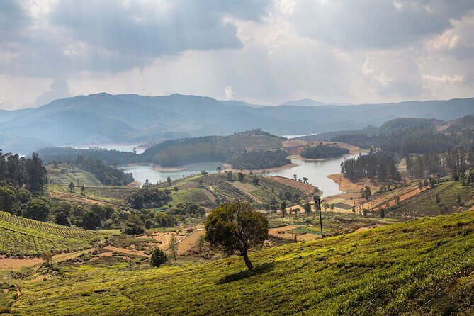 Day Trip to Coonoor (Guided Sightseeing Tour by Car from Ooty) - The Realities and Considerations