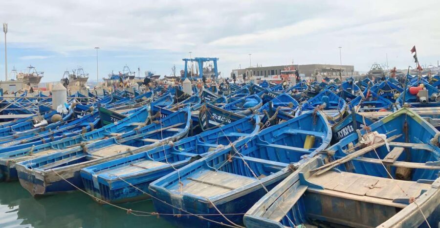 Day trip to Essaouira - The Experience Provider: Oudman Tours