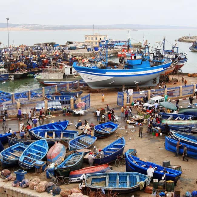 Day Trip To Essaouira From Marrakech With Guide - Who will enjoy this tour most?