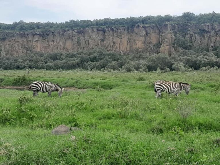 Day trip to Hells gate and Lake Naivasha - What to Expect and Practical Tips