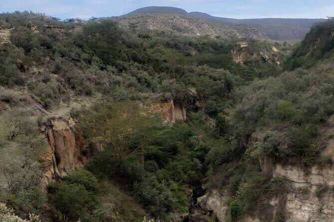 Day trip to Hells Gate National Park with boat ride on Lake Naivasha - Authentic Experiences and Local Insights