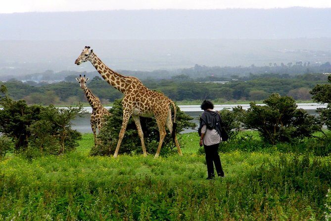 Day Trip to Hell's Gate & Optional Boat Ride at Lake Naivasha - Lake Naivasha: The Optional Boat Ride