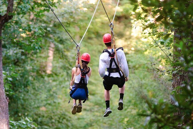 Day Trip to Kereita Forest and Ziplining - The Historical Context