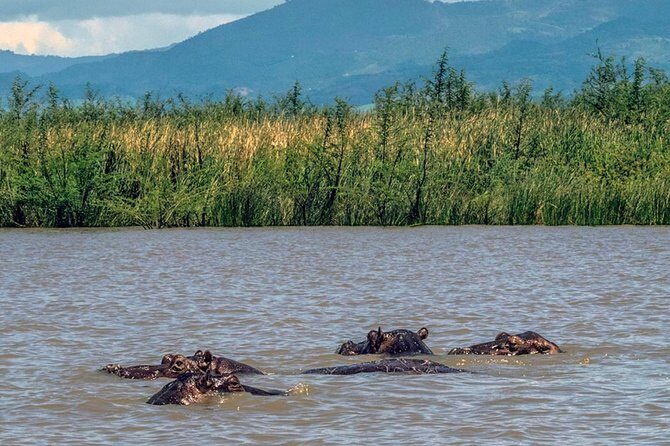 Day Trip To Lake Ziway - Why This Tour Offers Good Value