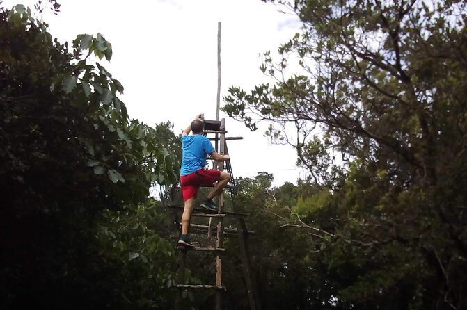 Day Trip To Lupanga Peak - Authentic Reviews that Speak Volumes