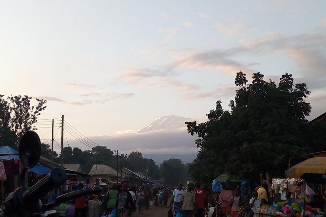 Day trip to materuni waterfalls and coffee tour - The Showstopper: Materuni Waterfalls