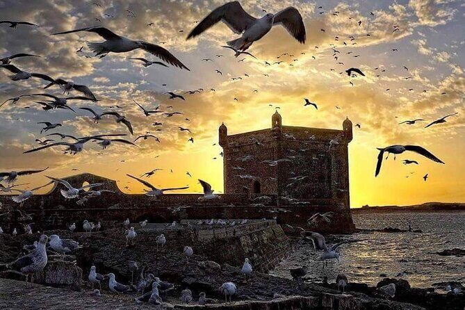 Day Trip to Mogador Essaouira City - What Travelers Are Saying
