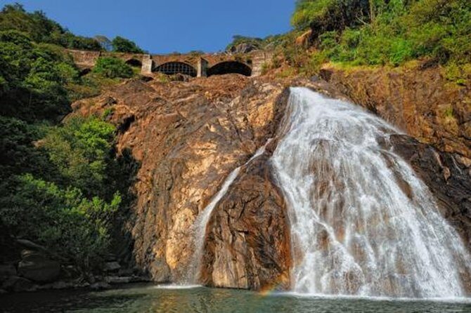 Day Trip to Mollem National Park Including Dudhsagar Falls and Jeep Safari from Goa - Authenticity and Practical Tips
