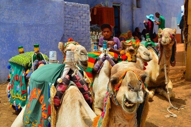 Day Trip to Nubian Village with Camel Tour from Aswan - The Sum Up: Who Will Love This Tour?