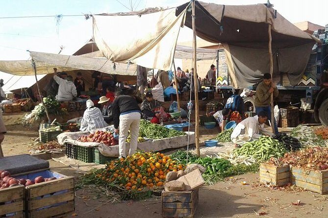 day trip to ourika valley and atlas mountains from marrakech - In-Depth Analysis of the Experience
