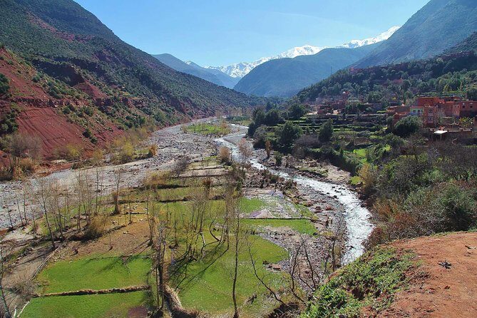 Day trip to Ourika valley and Berber villages - Transportation, Timing, and Practical Details