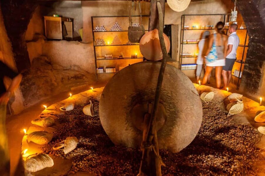 Day Trip to Ourika Valley & Atlas Mountains with Lunch - Authenticity, Value, and Practicalities