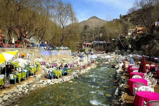 Day Trip To Ourika Valley - What Travelers Say