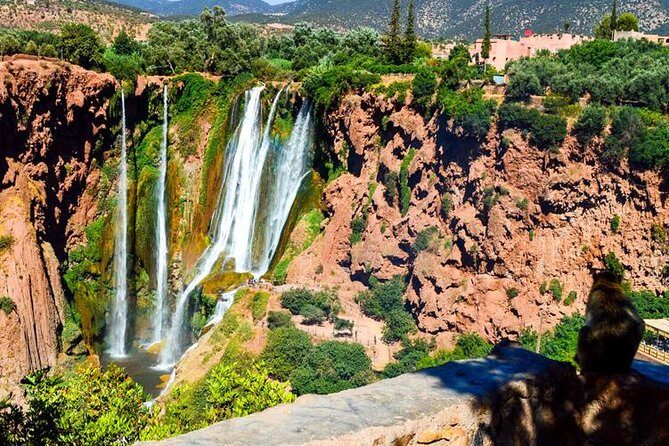 Day Trip To Ouzoud Waterfalls From Marrakech - Is This Tour Worth the Price?