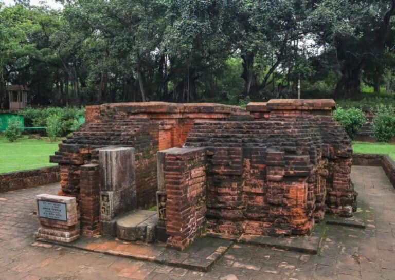 Day Trip to Puri (Guided Private Tour from Bhubaneswar) - The Details: An In-Depth Look