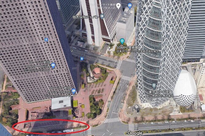 Day Trip to See the Snow Monkeys from Shinjuku with Lunch Buffet - Who Is This Tour Best For?