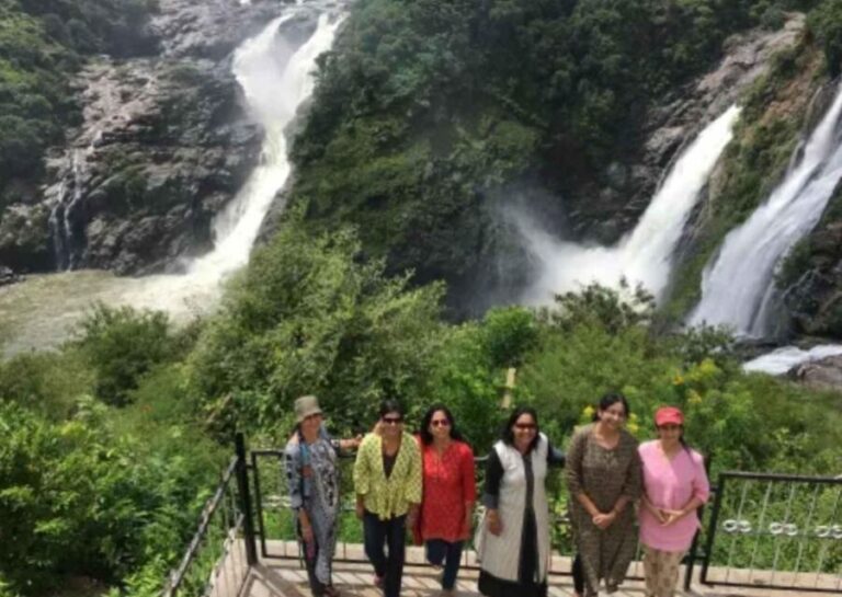 Day Trip to Shivanasamudram (Guided Tour from Bangalore) - What Travelers Can Expect and Why It Matters
