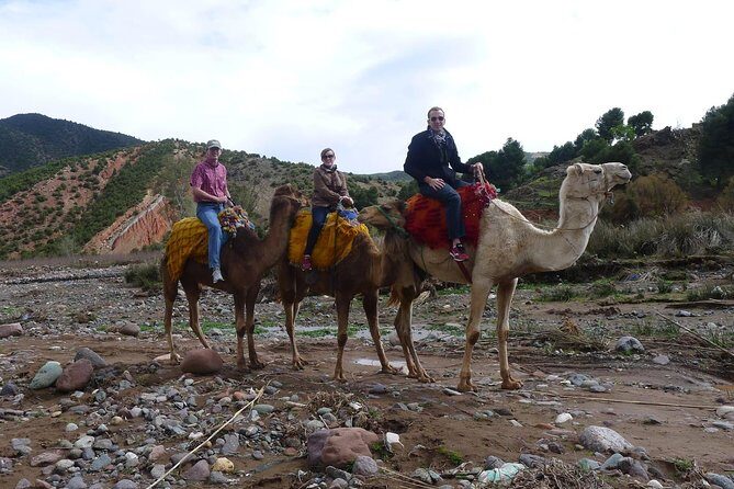 Day trip to the Atlas Mountains and Berber villages from Marrakech, - An In-Depth Look at the Tour Experience