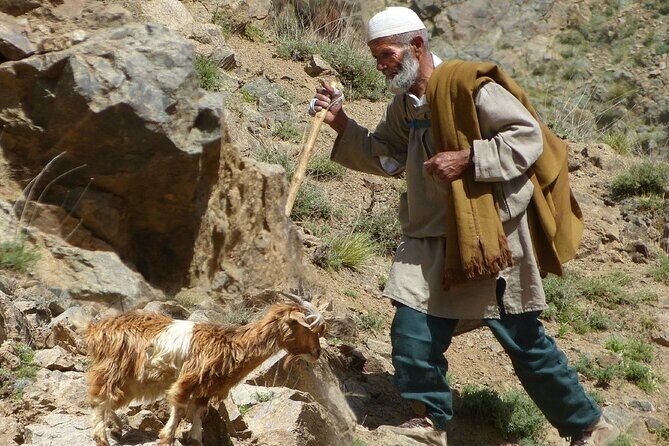 Day Trip to the Atlas Mountains with Locals - Transportation and Group Size: What It Means for You