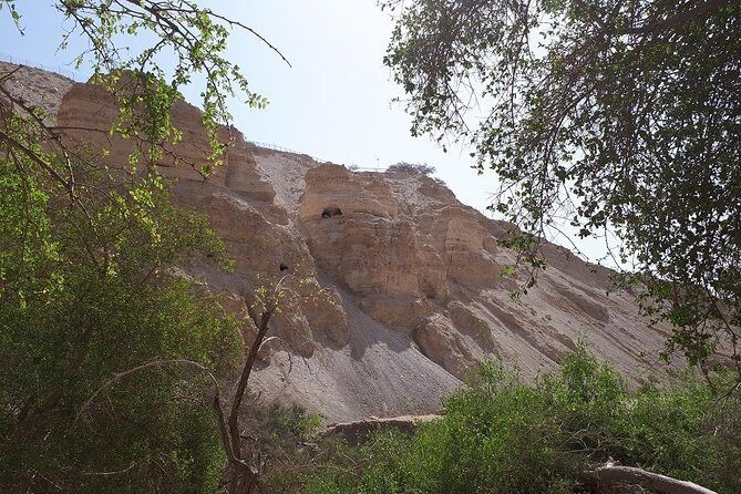 Day Trip to the Dead Sea Valley with GaryTheGuide - Authentic Experiences and Traveller Insights