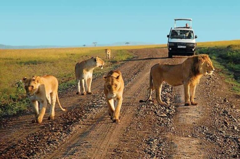 DAY TRIP TO TSAVO EAST PARK FROM MOMBASA/DIANI/MALINDI - What’s Included and What’s Not