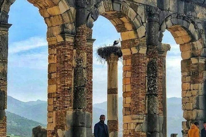 Day Trip To : Volubilis / Moulay Idriss / Mekness - What Travelers Say