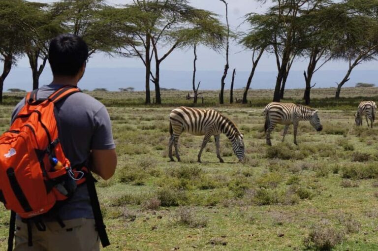 Day Trip:Crescent Island Walking Safari & Naivasha Boat Tour - What’s Included and What’s Not