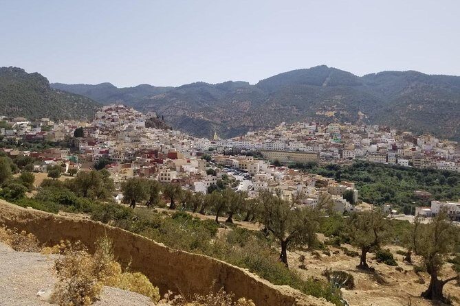 Day visit guided in fez - FAQs