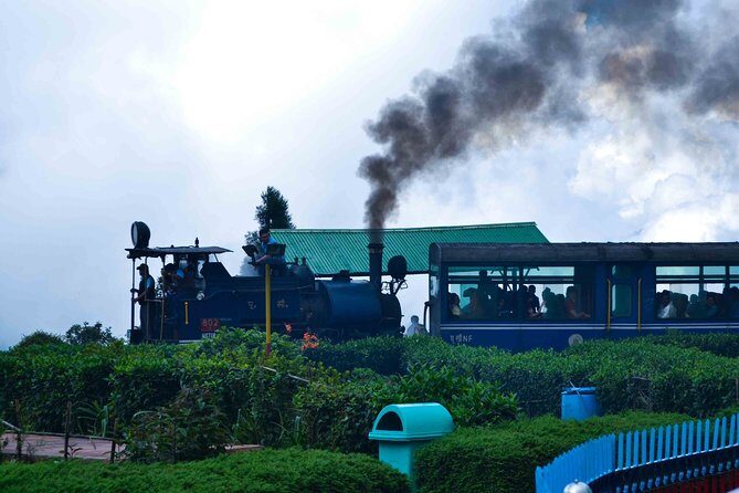 Day_Trippers (Darjeeling Full Day Tour). - The Practical Side: What You Need to Know