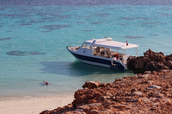 Daymaniyat island Natural Reserve and Dolphin Watching - Real Traveler Perspectives