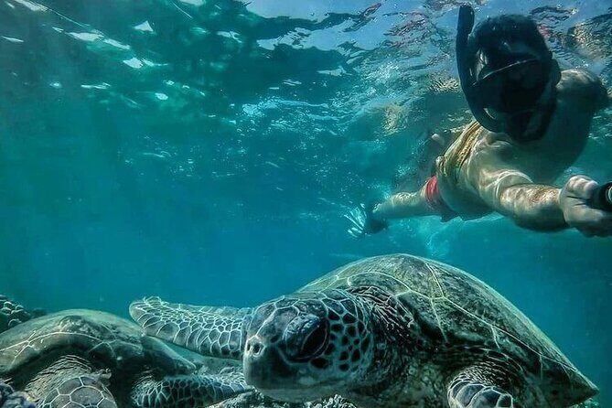 Daymaniyat Islands Snorkeling Half-Day Tour - Why Travelers Love This Experience