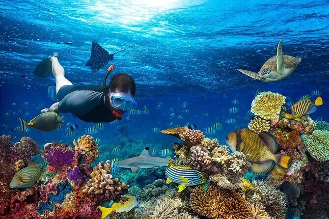 Daymaniyat Islands Snorkeling Tour - FAQs