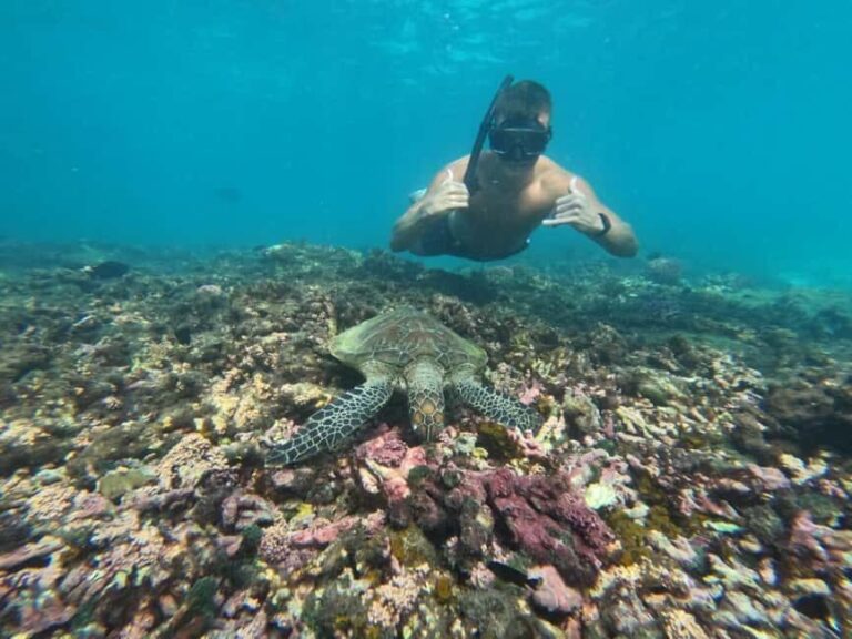 Daymaniyat islands: Visiting and snorkeling in Daymaniyat... - The Value of Included Amenities