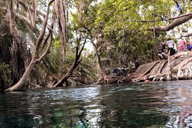 DayTour to Materuni Waterfalls with Coffee & Hotsprings Excursion - Who Is This Tour Best For?