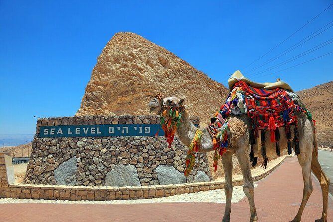 Dead Sea Relaxation Day from Jerusalem - The Main Event: Floating and Swimming in the Dead Sea