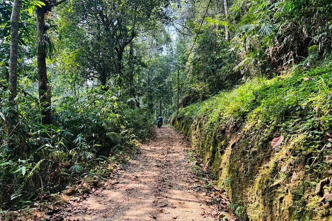 Dediyagala Village Tour(from Galle, Mirissa, Ahangama, Matara) - What activities can you expect?