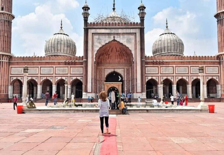 Delhi Airport to Airport: Guided Layover Delhi City Tour - Practical Details: What to Expect