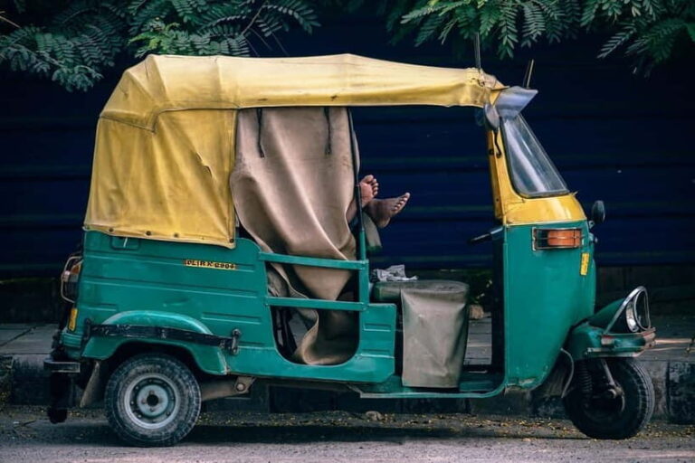 Delhi: Half Day or Full-Day Private City Tour - Who Is This Tour Best For?