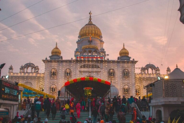 Delhi Highlights: Private Old & New Delhi with Fee Options - Analyzing the Value and Experience