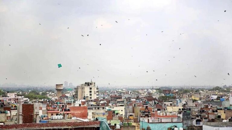 Delhi: Kite Flying in Old Delhi-A Journey Through the Skies - Detailed Analysis