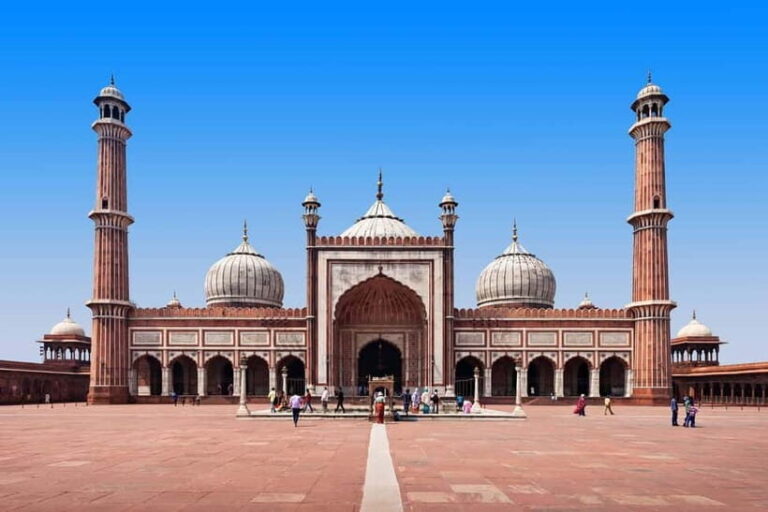 Delhi: Old and New City Full-Day Guided Tour - Exploring the Heart of Delhi: What to Expect from the Tour