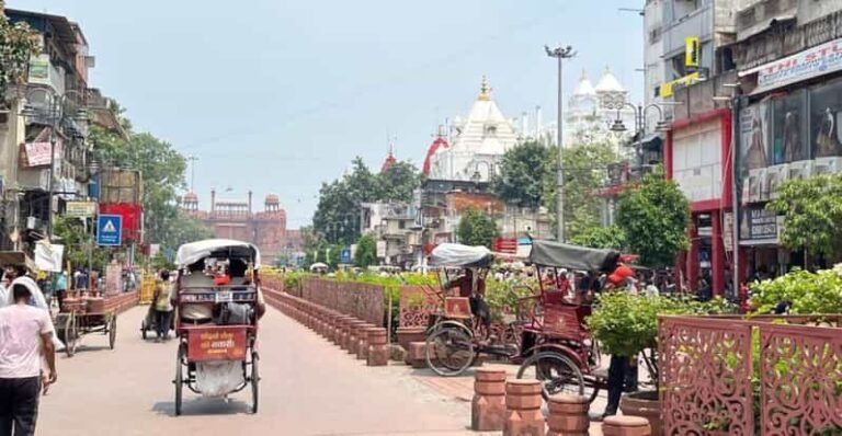 Delhi: Old Delhi City Tour with Tuk-Tuk Ride & Street Food - What Travelers Say: Authentic Reflections