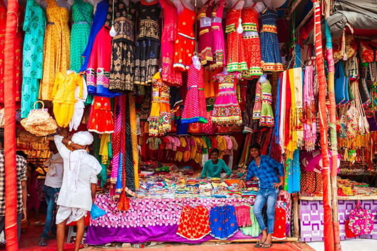 Delhi: Old & New Delhi Private Full or Half-Day Guided Tour - Why This Tour Works for You