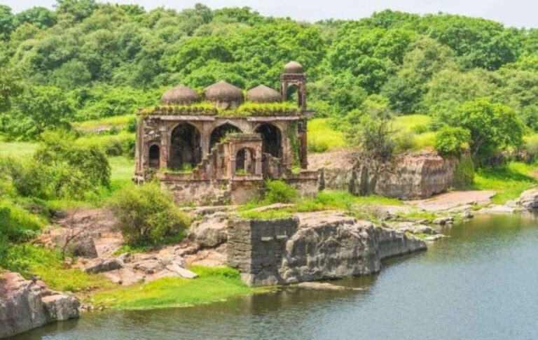 Delhi: Same Day Sariska National Park Tour with Tiger Safari - Practical Aspects of the Tour