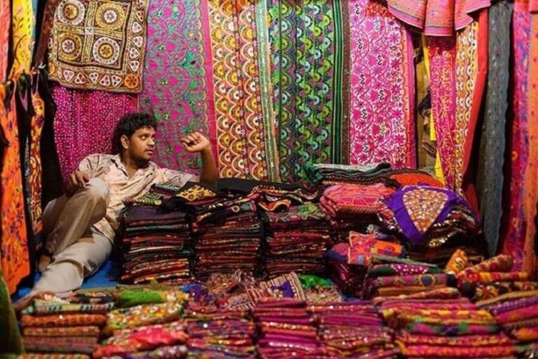 Delhi: Shopping and Street Food Tour with Female Guide & Car - What to Expect from the Delhi Shopping and Street Food Tour