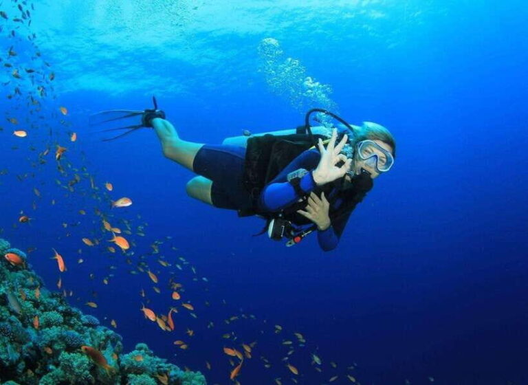 Deluxe Daily Tour-Snorkeling & BBQ & Mud Bath from Nha Trang - Snorkeling at Mun Island Marine Park