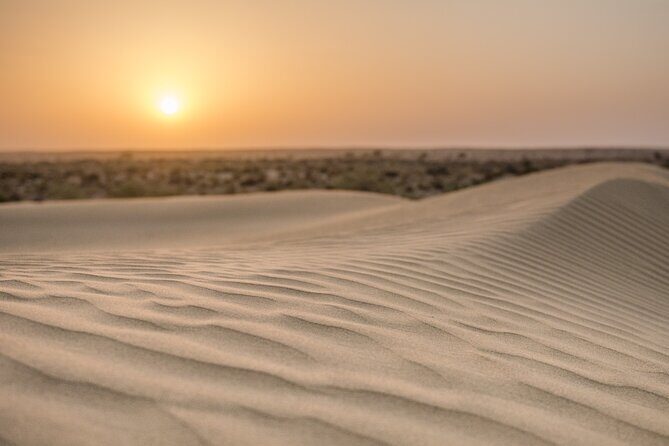 Deluxe Desert Experience & Cultural Night - Summary and Final thoughts