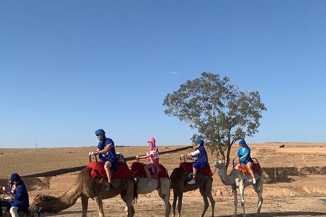 Desert Agafay & Atlas Mountain Day Trip With Camel Ride - The Sum Up