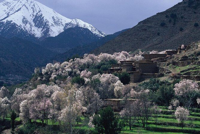 Desert Agafay & Atlas Mountains Day Trip from Marrakech (Min.2 p) - Who Should Consider This Tour?