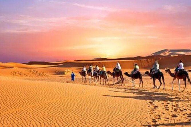 Desert Agafay & Atlas Mountains & Waterfalls, Camel ride Day Trip From Marrakech - Authenticity, Value, and Traveler Feedback